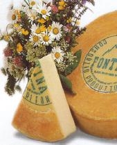 Fontina Dop.